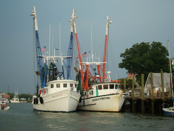 Shem Creek Harbor Fest