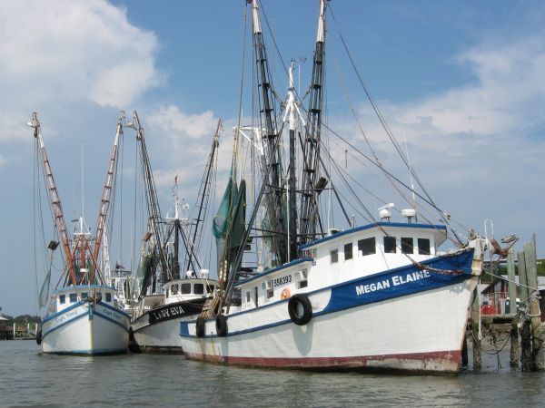 Shem Creek Boats