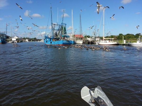 Shrimp Boat SC