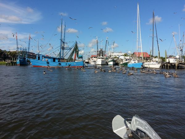 Shrimp Boats on Shem Creek